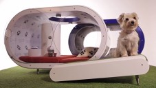 Dream Doghouse je futuristický koncept domu snů pro psy