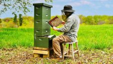 Keeper’s Hive je včelí úl typu Langstroth možný kontrolovat v sedě bez rozebírání