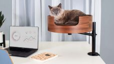 Desk Nest Cat Bed je speciálně vyvinutý držák s kočičím pelíškem na pracovní stůl